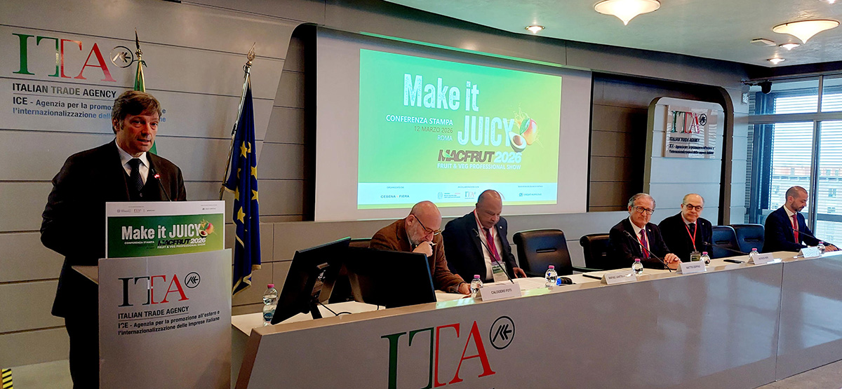 Matteo Zoppas, Presidente Agenzia ICE